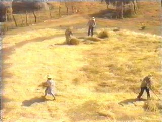CAMPO (90)  LABRANZA